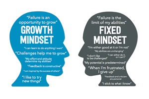 Fixed mindset / growth mindset